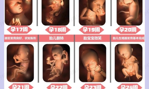 支气管哮喘胸部可以拔罐吗视频播放-权威哮喘能拔火罐吗平台,分享专业哮喘能拔火罐吗知识_哮喘病人可以拔火罐吗网